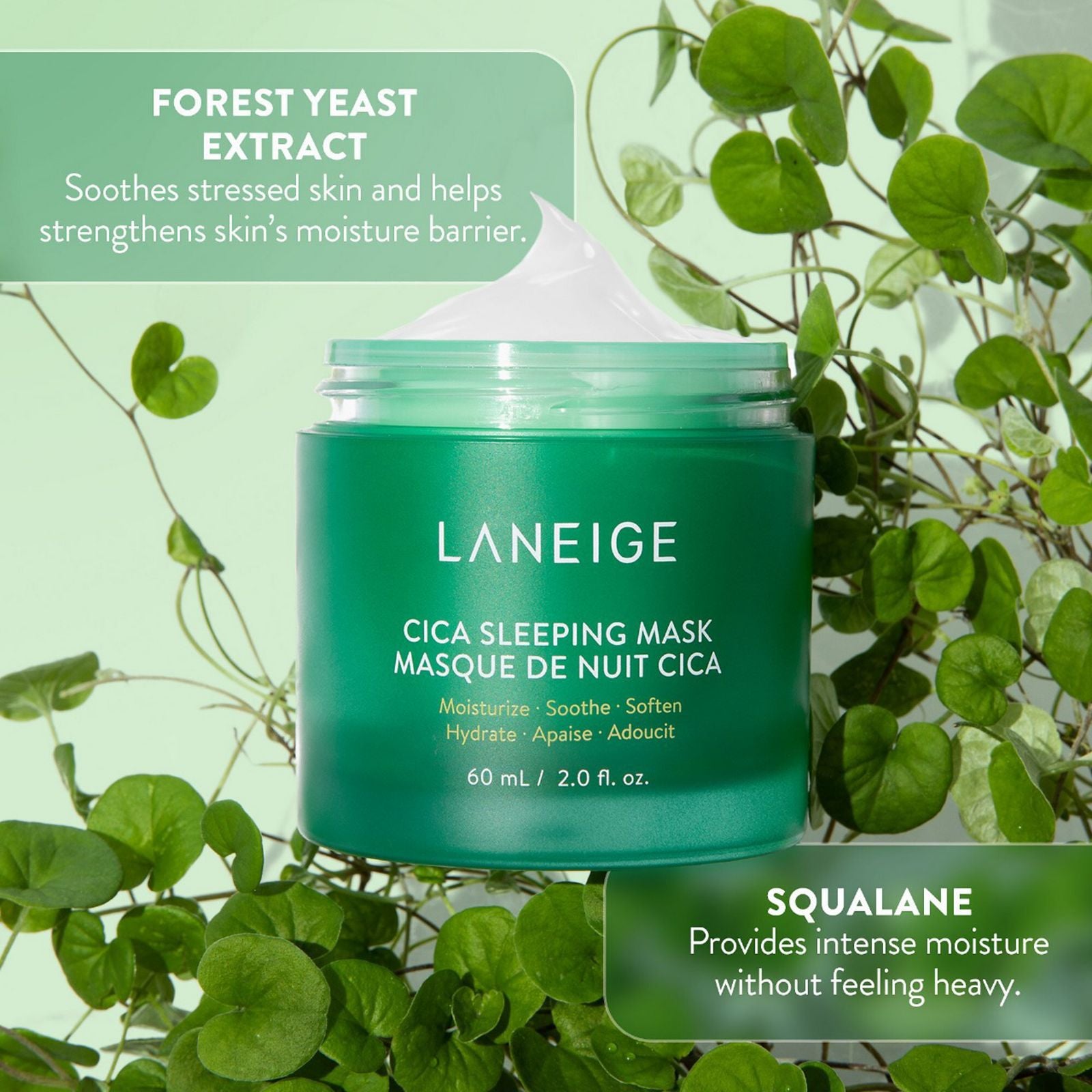 LANEIGE Cica Sleeping Mask with Centella Asiatica for Moisture Barrier Support
